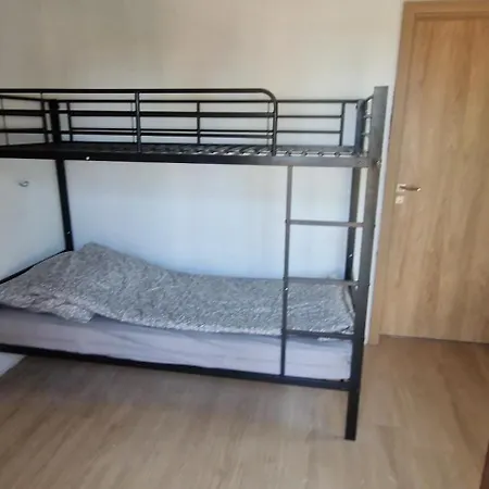 Vadvirag 숄트버드케르트