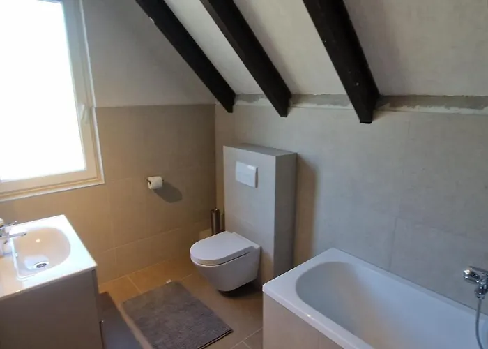 Bed and breakfast Vadvirag 3*